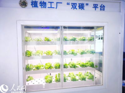 數(shù)字內(nèi)容制作服務(wù) 創(chuàng)新驅(qū)動與價值實(shí)現(xiàn)